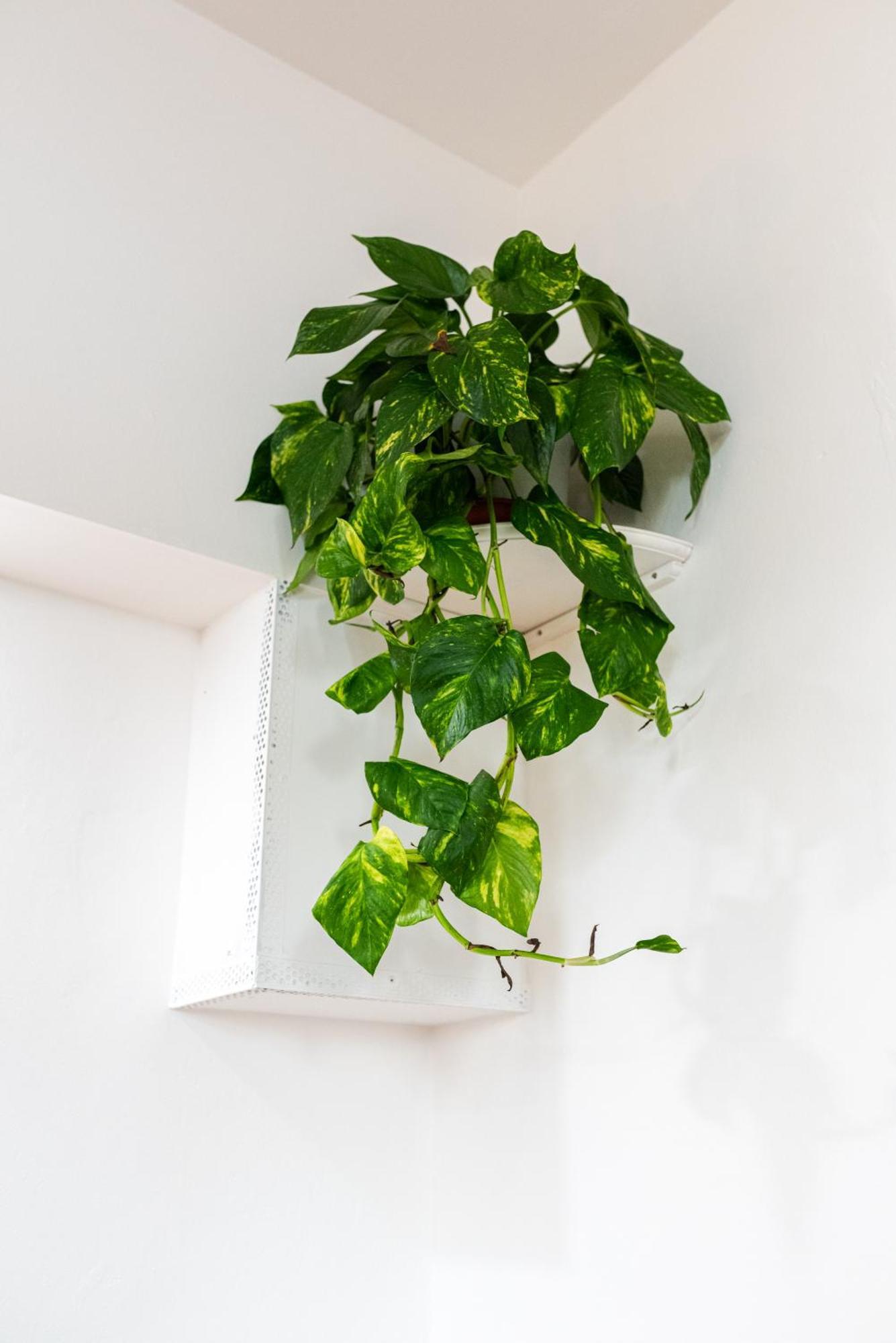 Appartement Zen Island Downtown Florence, New For 6 Florence
